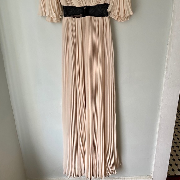 Blush Pleated Gown - Picture 4 of 5